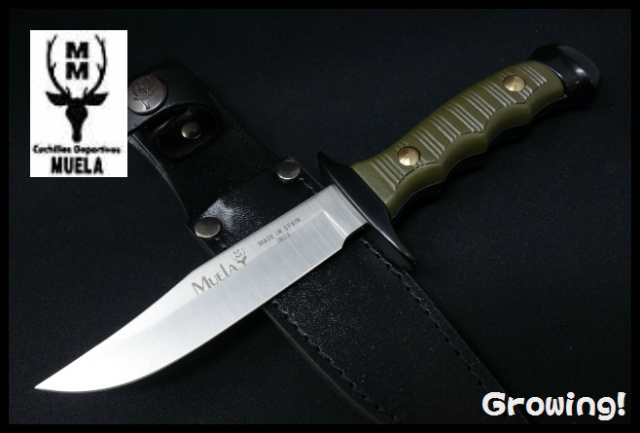 ナイフ激安ショップ　ナイフショップ　グローイング！