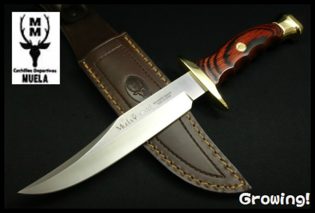 ナイフ激安ショップ　ナイフショップ　グローイング！