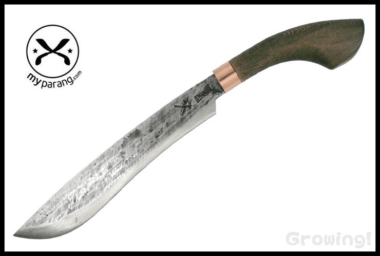 MYPGLK125-1.jpg