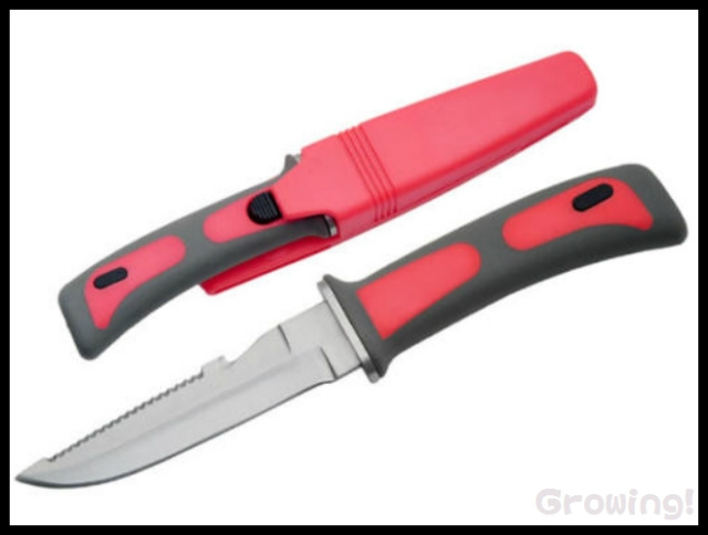 ナイフショップ