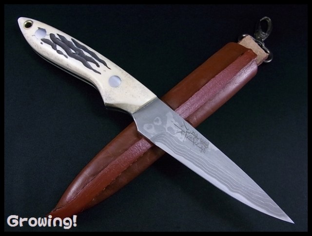 ナイフショップ　グローイング！