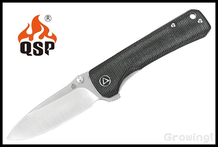 QSP-QS131J-1.jpg