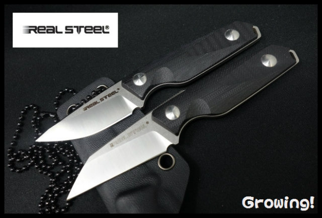 RS3151-RS3152