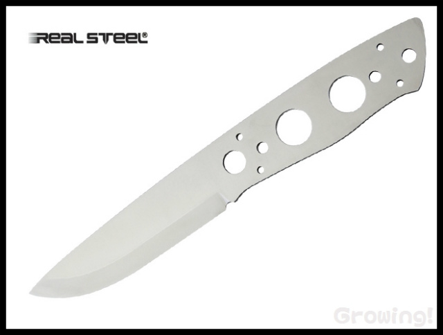 RS3730-1.jpg