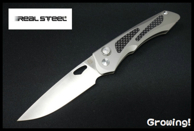 RS9311