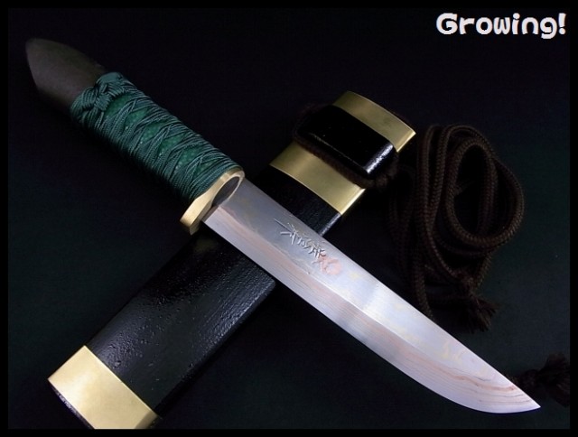 伝統工芸士 佐治武士 ナイフ【家康】青紙スーパー鋼、新品未使用 ナイフショップ グローイング！□佐治武士【さじ たけし