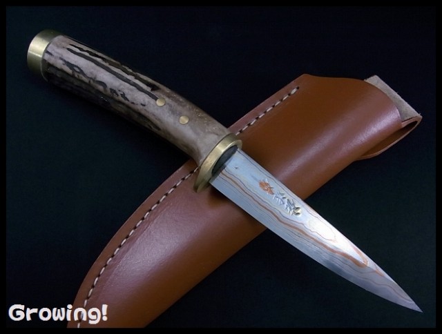 ナイフショップ　グローイング！