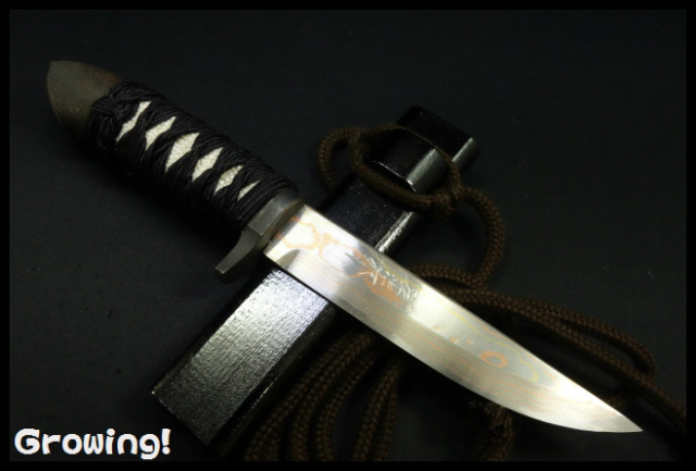 ナイフ激安ショップ　ナイフショップ　グローイング！