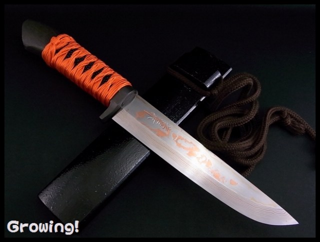 伝統工芸士 佐治武士 ナイフ【家康】青紙スーパー鋼、新品未使用 ナイフショップ グローイング！□佐治武士【さじ たけし