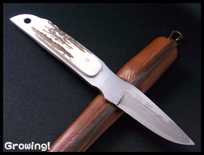 ナイフショップ　グローイング！