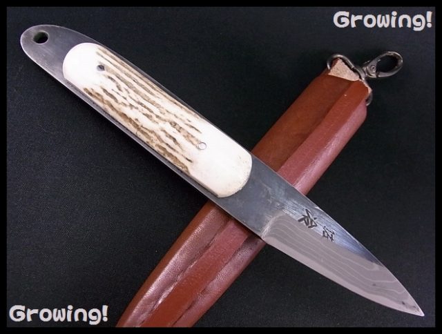 ナイフショップ　グローイング！