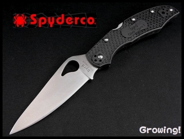 Spyderco【スパイダルコ】■ byrd カラカラ2 【8Cr13MoV】【FRN】Cara Cara 2 ナイフ