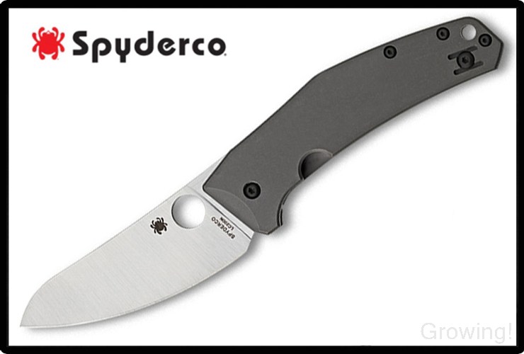 SP-C211TIP-1.jpg