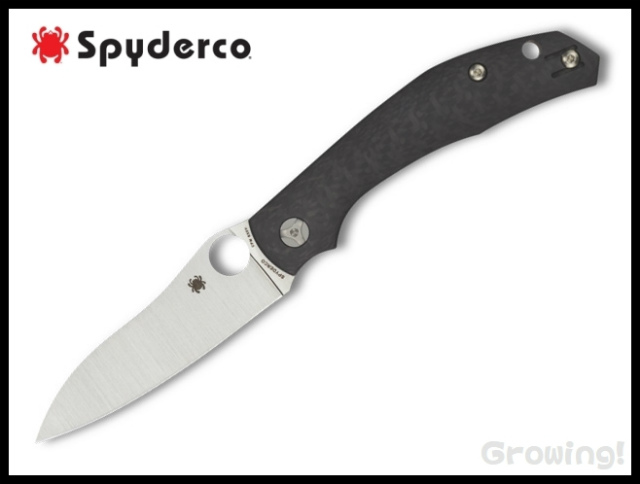 SP-C241CFP-1.jpg