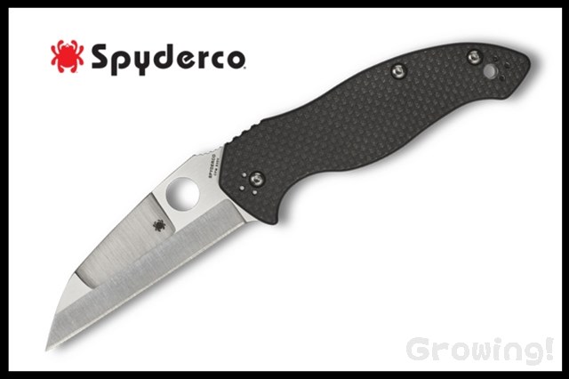 SP-C248CFP-1.jpg