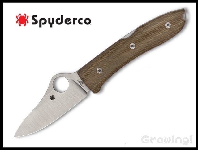 SP-C255CMP-1.jpg