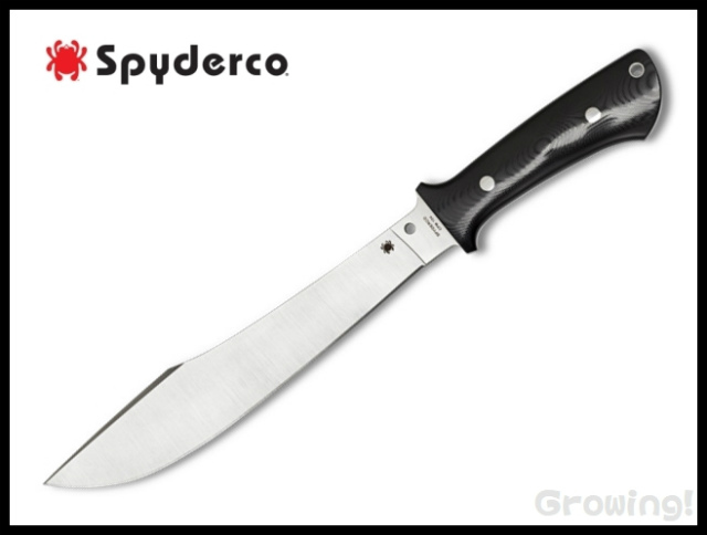 SP-FB41GP-1.jpg