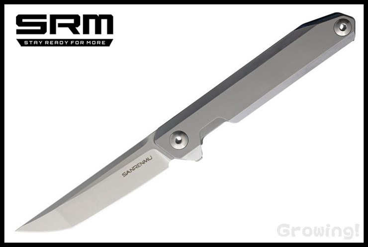 SRM1161-1.jpg
