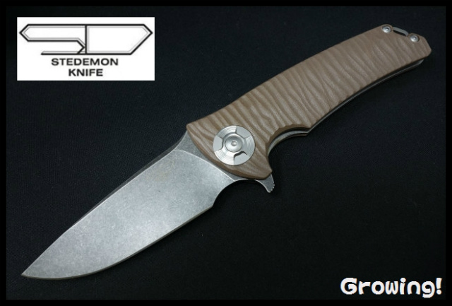 STEDSG04-1.jpg