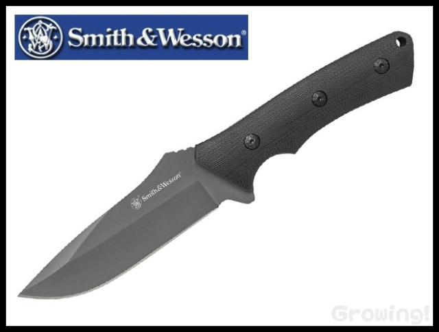 SWF1L-1.jpg