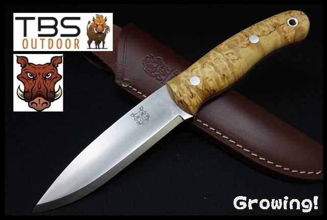 TBS-BOAR-CB-STA-01.jpg