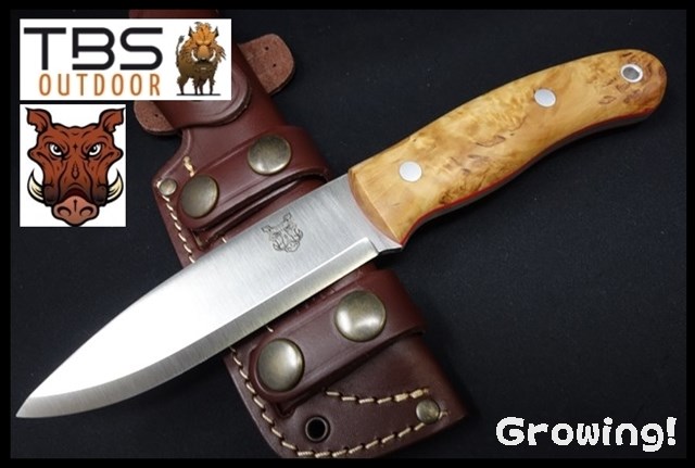 TBS-Boar-N690-CB-B10017-1.jpg
