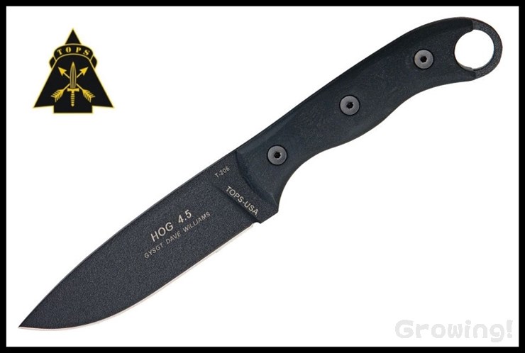 TP-HOG45-1.jpg