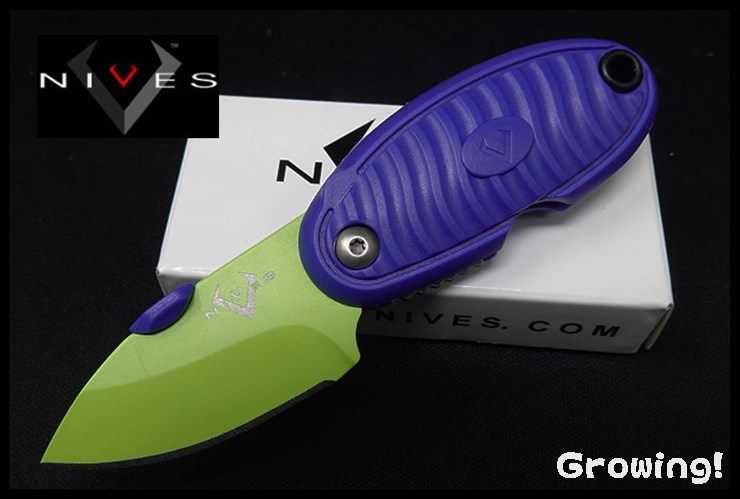 VNI17FPGRBL-1.jpg