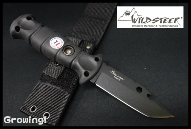 WSSP3113-1.jpg