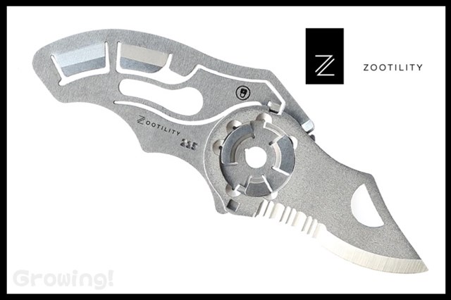 Z-ST2-1.jpg