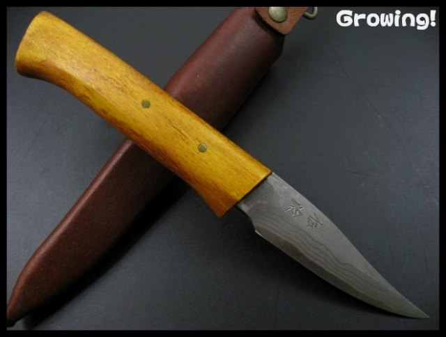 伝統工芸士　佐治武士　ナイフショップ　グローイング！