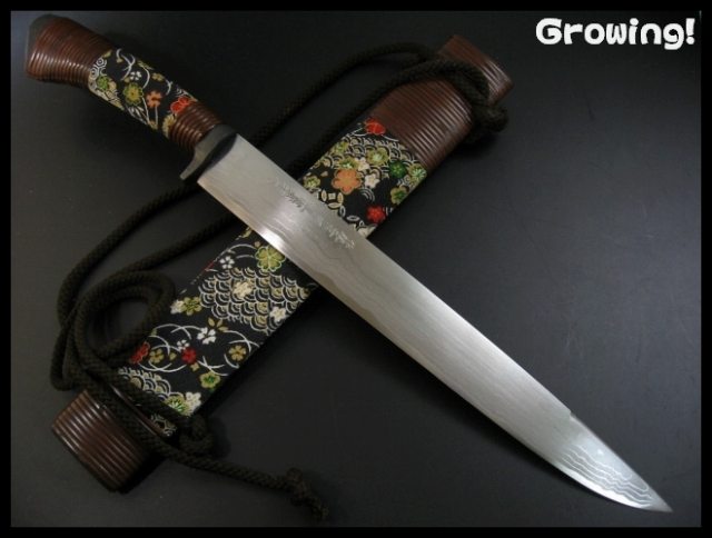 伝統工芸士　佐治武士　ナイフショップ　グローイング！