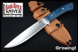 BR-WILD-Cru-Mapl-82153-1.jpg