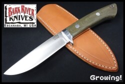 BR-WILD5-Cru-NCM-2489-3.jpg