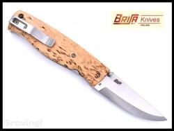 BRI2502-1.jpg