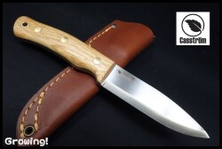 CASS13101-01.jpg