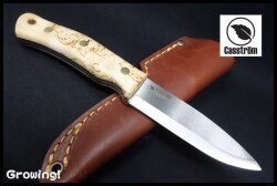 CASS13104-01.jpg