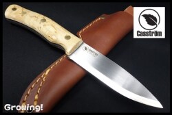 CASS13108-1.jpg