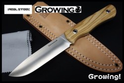 GRO3709-1.jpg