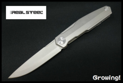 RS9521
