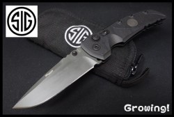 SIG36172-1.jpg