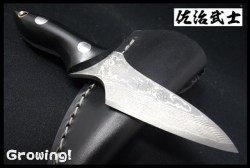 SJ-BAT6-6.jpg
