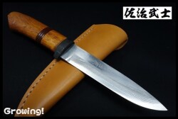 SJ-IN-WD-3.jpg