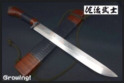 SJ-SHOU300-YD-1.jpg