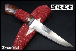 SJ-SameD-RED-WD-1.jpg
