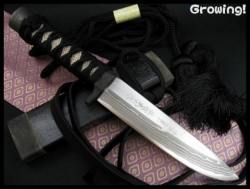 伝統工芸士　佐治武士　ナイフショップ　グローイング！