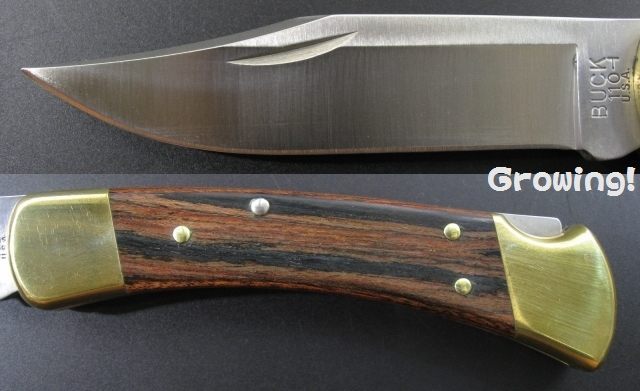 ナイフショップ グローイング！□BUCK【バック】ナイフ□ #110  