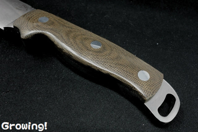 ナイフショップ グローイング！□American Knife【アメリカン