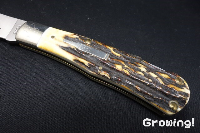 ナイフコレクション Amazon | キャプテンスタッグ(CAPTAIN STAG) アウトドア ナイフ