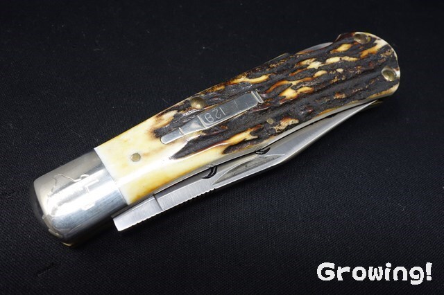 【中古】天馬 マステ colte アルザス アンティークマルシェ 廃盤 ROYAL SMITH 90-006 アイボリー文字盤 ゴールドケース | Kuoe